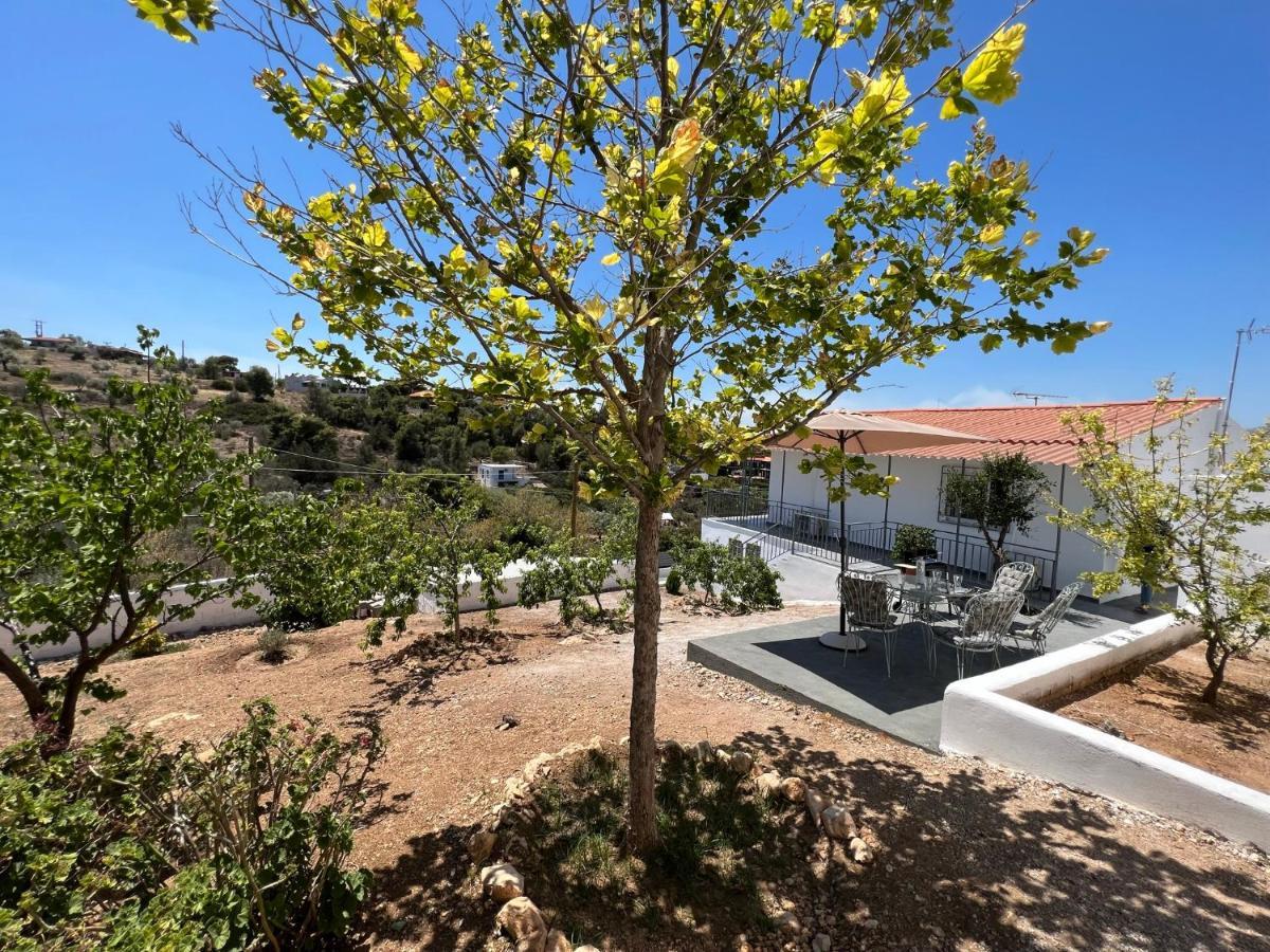 סלמיס Oceanus Summer House מראה חיצוני תמונה