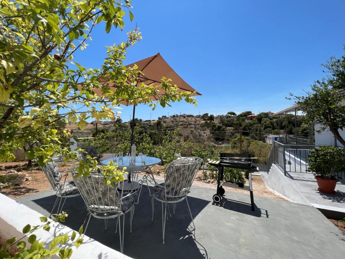 סלמיס Oceanus Summer House מראה חיצוני תמונה
