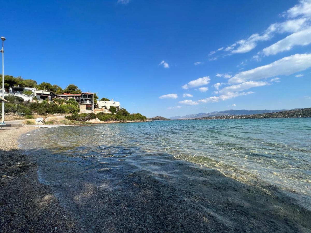 סלמיס Oceanus Summer House מראה חיצוני תמונה