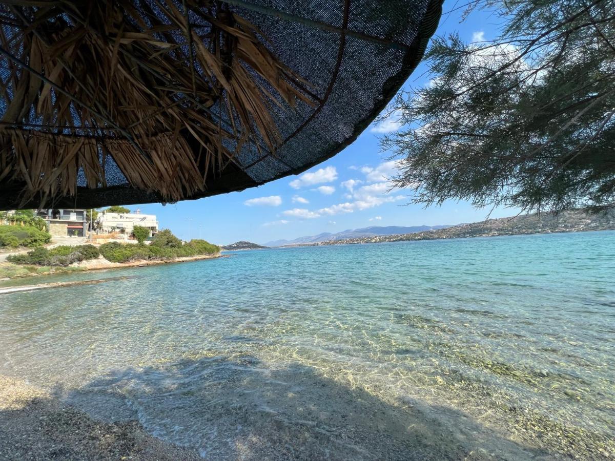 סלמיס Oceanus Summer House מראה חיצוני תמונה