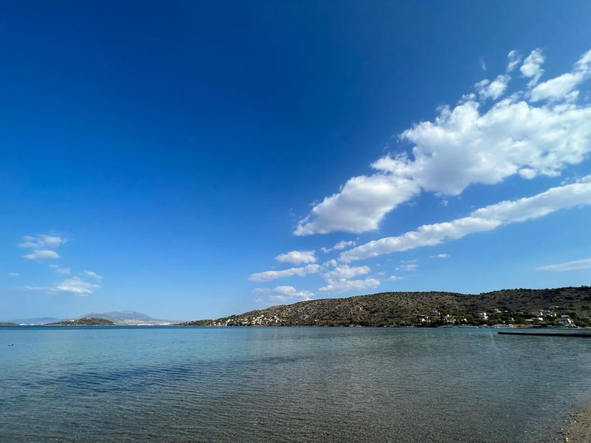 סלמיס Oceanus Summer House מראה חיצוני תמונה